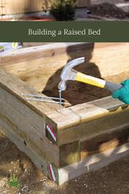 Building A Raised Bed With Images Raised Garden Garden Beds Garden Yard Ideas