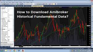 Download Amibroker Historical Fundamental Data Stockmaniacs