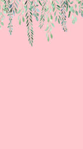 Iphonex Pink Background Aesthetic Iphone Wallpaper Pink Wallpaper