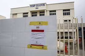 The company owns and operates 47 manufacturing facilities in malaysia, thailand, china, and vietnam. Now At Epicentre Of Selangor S Largest Covid 19 Cluster Top Glove Says Gloves Free From Coronavirus Malaysia Malay Mail
