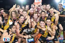 One team bats while the other team fields. 2019 2020 Ntfl Men S Premier League Team Review Nightcliff Aussie Rules Draft Central