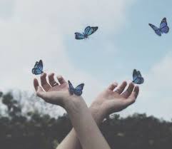 Meral Meri Dear Butterfly Heart Letters To Heart 2020 Minimalist Fotografcilik Yaratici Fotografcilik Fotografcilik