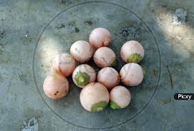 Image result for Cordia myxa