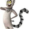 Madagascar movie series and their main characters. 1