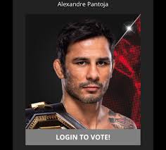 Who's your fighter of the year? These are the UFC nominees out of all the  other BIG MMA Organizations.