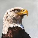 Amazon.com: Apkaf Hand-Painted Oil Paintings Eagle Canvas Wall Art ...