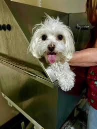 Bath time for Payton Paige...... 🎀...