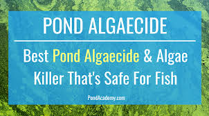 Also widely used in deodorants, detergents, sanitizers and germicides for. Best Pond Algaecide Pond Algae Killer In 2021 Safe For Fish