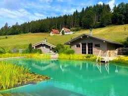 Hotel Engel Obertal Un Hotel Wellness 5 Etoiles Au Coeur De La Foret Noire