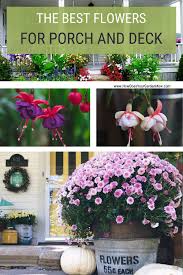 We make it simple for you to add flower joy to your home with beautiful, selected planters, delivered to your door. Best Flowers For Pots On Porch Or Deck Porch Plants Amazing Flowers Porch Flowers