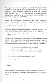 Image result for Setaria lindenbergiana