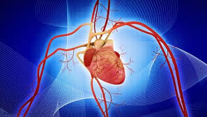 Heart muscle inflammation (myocarditis) is an inflammatory process of the heart muscle, which can be acute or chronic in nature. Lingering Signs Of Inflammation Post Pci Signal More Death Mi At 1 Year Tctmd Com