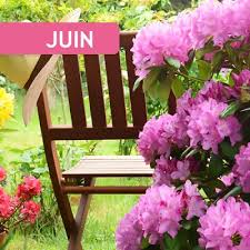 Que faire au jardin en juin ?