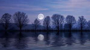 Try going to a spot from where the supermoon is aptly visible and a picturesque view appears. Vollmond Mai 2020 Bedeutung