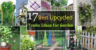Using bamboo to build a garden trellis against the wall. 17 Best Upcycled Trellis Ideas For Garden Cool Trellis Designs For Gardens Balcony Garden Web