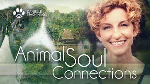 Animal Soul Connections