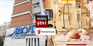 Activitatea gestionara desfasurata in pietele si targurile municipiului tg.mures, se realizeaza de catre societatea comerciala „administrator imobile si piete s.r.l., societate cu capital integral municipal. Apel Urgent Privind Medicii De La Iubcvt Din Tirgu Mures Distribuie Mures Stiri