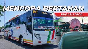 Jaya melayani trayek perjalanan ke surabaya, madiun, dan ponorogo dengan menggunakan di bus jaya putih, memiliki ciri umum dengan corak kepala reog dan gajah. Bus Legendaris Asli Ponorogo Trip Po Jaya Kuning Atb Surabaya Ponorogo Youtube
