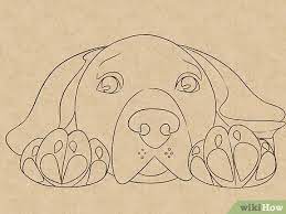 From the tip of the nose, draw a straight line down with an arrow pointing up to create your dog's mouth. How To Draw A Dog Face With Pictures Wikihow
