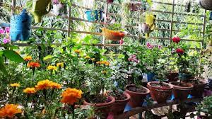 Is post me mai apko bataunga ke google adsense account kaise banaye. à¤ à¤¸ Balcony à¤® à¤¬à¤¨ à¤¯ à¤ à¤ à¤¨ à¤à¤° à¤¡à¤¨ Organic Vegetables Gardening Youtube