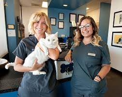 On the street of east pacific coast highway and street number is 6222. New Clients Belmont Shore Veterinary Hospital
