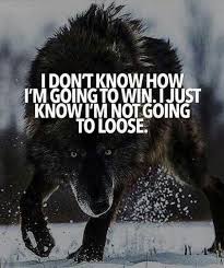 We did not find results for: Inspiring Wolf Quotes Quote 7 Wolves Win Wattpad