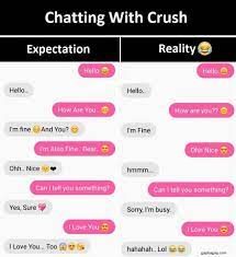 Funny Text About Crush Vs Expectation And Reality Funny Texts Pregnant Funny Texts Funny Text Messages