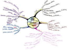 Www.youtube.com/brainmapanatomy follow us at instagram for daily questions. Whole Brain Business Book