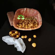 Image result for Ricinodendron