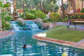 Westgate Flamingo Bay Resort Resort Amenities Las Vegas Vacation Las Vegas Vacation Rentals Vacation