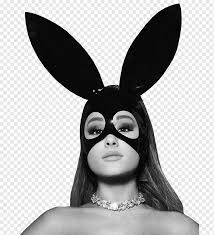 We did not find results for: Dangerous Woman Tour Graphy Side To Side Moonlight Ariana Grande Snout Mask Singer Png Pngwing