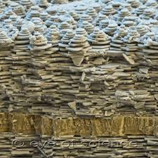 Small Animals Seen In The Scanning Electron Microscope Things Under A Microscope Scanning Electron Microscope Electron Microscope