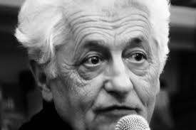 Intervista a Adele Marini, grande voce noir