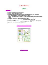 Kali ini kami sajikan rangkuman biologi kelas 10 bab tentang kerja ilmiah dan mengenal biologi. Materi Biologi Kelas X Semester 2 Pdf