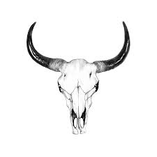 Bull Skull Drawing By John Gordon Art Bull Skull Tattoos Cow Skull Tattoos Skulls Drawing