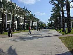 Tel aviv university makes every effort to respect copyright. Tel Aviv University Wikipedia