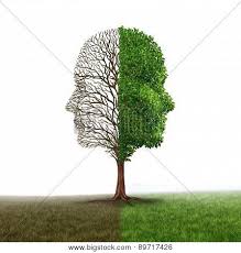 「"post a comment" pessimist」的圖片搜尋結果