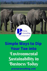 Simple Ways To Dip Your Toe Into Environmental Sustainability In Business Today Environment Sustainability Business