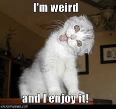Super Funny Animal Pictures With Captions 6 Freakypic Com Funny Images And Pictures Funny Animal Pictures Funny Animals Funny Animals With Captions