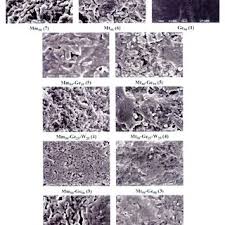 En la primavera, según van ir subiendo las temperaturas y aunque los cactus soportan sequías extremas, no quiere decir que les guste pasar sed. Pdf Biopolymeric Films Based On Cactus Opuntia Ficus Indica Mucilage Incorporated With Gelatin And Beeswax