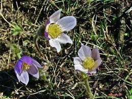 Pin On Montana Landscapes