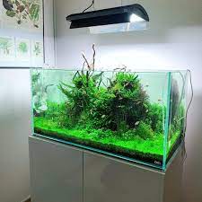 George Farmer On Instagram Beautiful Ada 90p Nature Aquarium Aquascape From Michaelfmikkelsen Just 3 Months O In 2021 Led Aquarium Lighting Aquarium Nature Aquarium