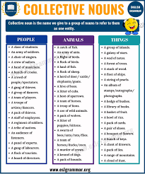 Collective Nouns Definition Useful List And Examples Esl Grammar Collective Nouns Types Of Nouns English Vocabulary Words