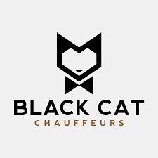 It's high quality and easy to use. 35 Cat Logos That Are So Hot Right Meow 99designs