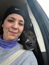 Donation winner for animal shelter