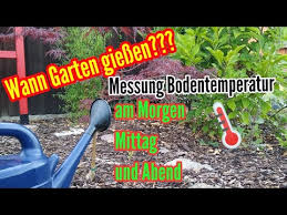 Im idealfall werden die tomatenpflanzen in den frühen morgenstunden gegossen, wobei die wie in den frühen morgenstunden ist es auch spät abends meist kühler als tagsüber. Hitzewelle Garten Giessen Wann Morgens Mittags Oder Abends Bodentemperatur Garten Wassern Youtube