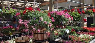 Starting a garden in their backyard was intimidating at first, but with a little help from ace hardware and some planter boxes, they've got a plentiful vegetable garden on the way. Flowers For Memorial Day At Your Local Ace Hardware Today Hanging Pots Plants Memorial Day