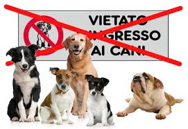 Ikea Divieto Di Accesso Ai Cani Di Taglia Grande The Lair Of Freedom