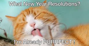 Make Memes With Your Own Photos Scan Or Import Photos With Pic Scanner Gold App And Turn Them Into Fun Memes Beauti Cute Cats Cats Hypoallergenic Cat Food
