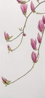 Maybe you would like to learn more about one of these? Solid Color Background Iphone X Wallpapers Free Download